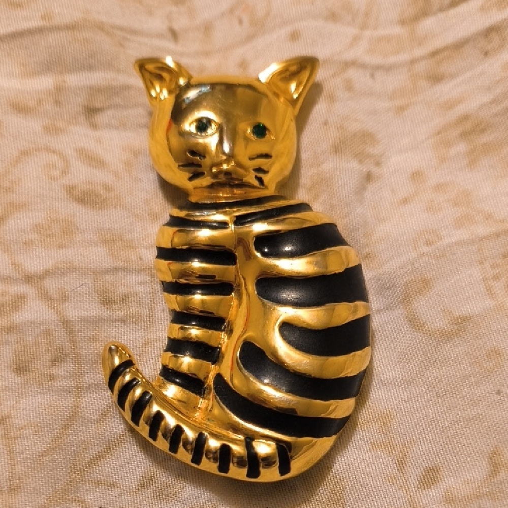 Gold and Black Cat Clothing Accessory with Striking Stripes